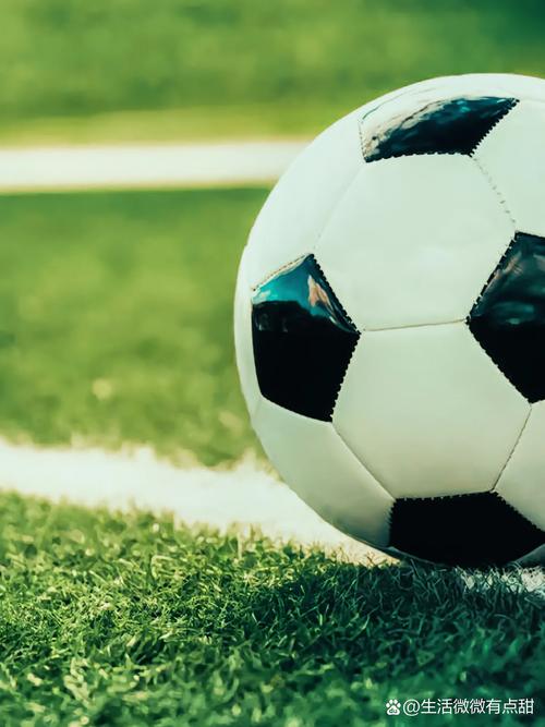 篮球即时比分雷速体育常见问题解答